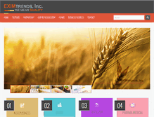 Tablet Screenshot of eximtrends.com